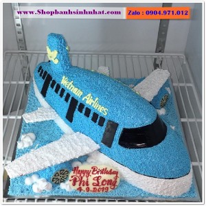Bánh Sinh Nhật Máy Bay - MA24